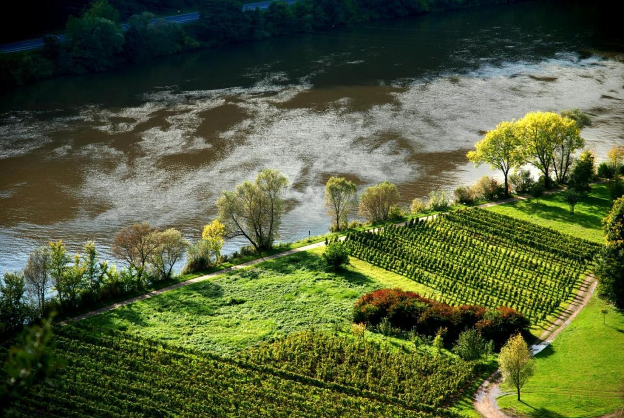 Weingut Helmut Barzen Lägenhet Zell an der Mosel Exteriör bild