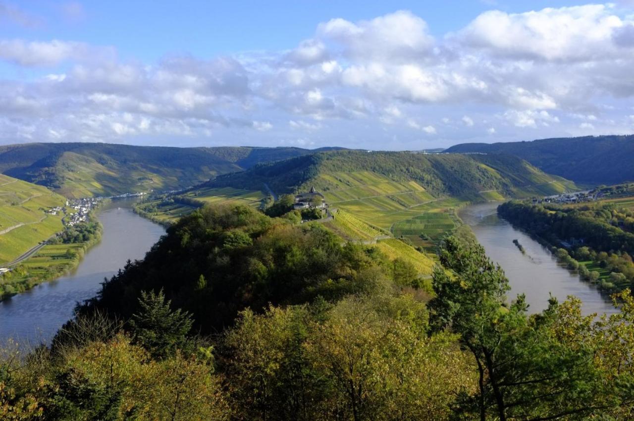 Weingut Helmut Barzen Lägenhet Zell an der Mosel Exteriör bild